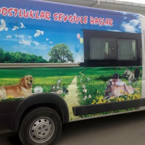 Evcil Hayvan Toplama Aracı